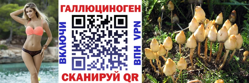 Псилоцибиновые грибы мицелий Купить закладки Жирновск